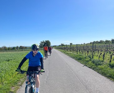 Neusiedler See